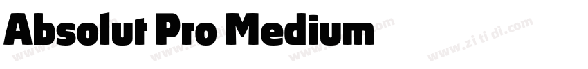 Absolut Pro Medium字体转换